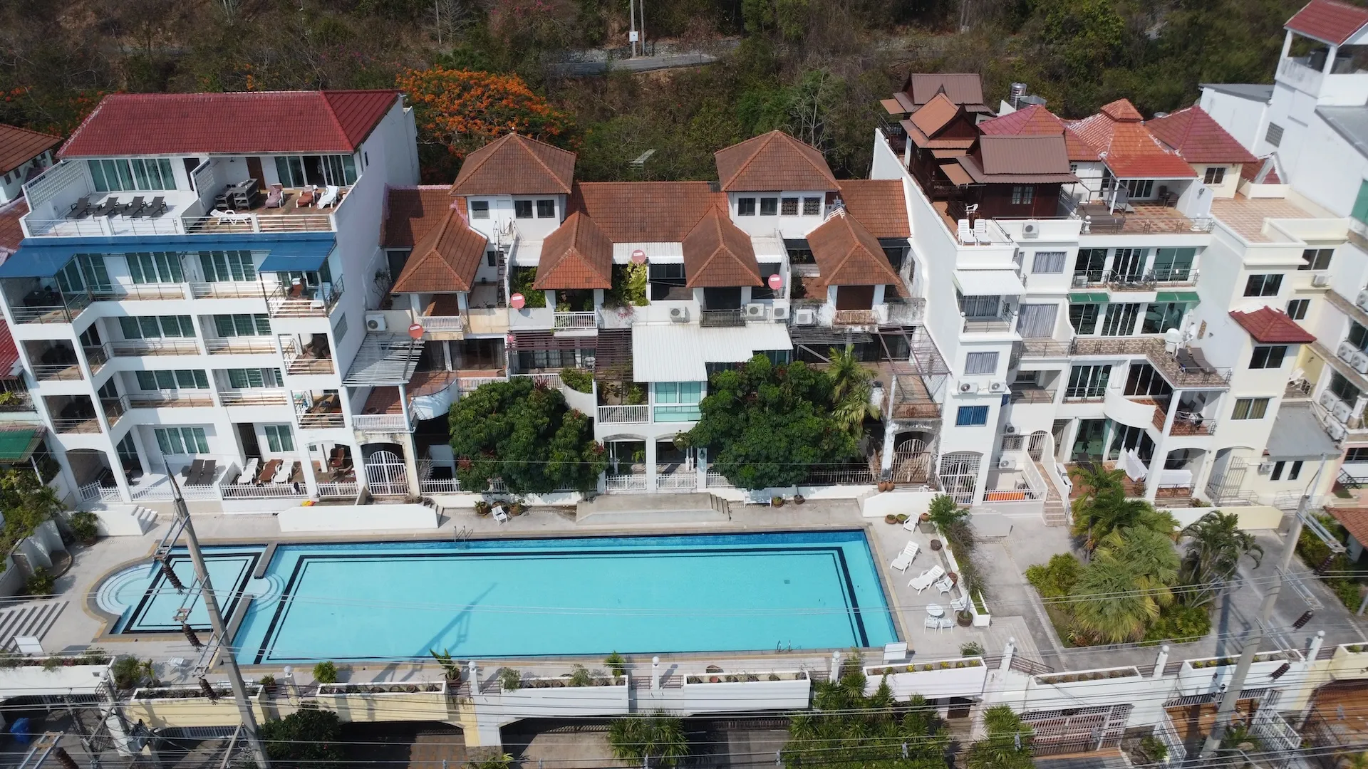 Olympic swimming pool